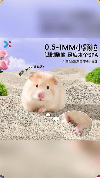 炫耀仓鼠尿砂浴沙尿沙二合一垫料除臭金丝熊花枝鼠洗澡厕所清洁 #养鼠日常分享 #新手养鼠 #仓鼠浴沙尿沙二合一