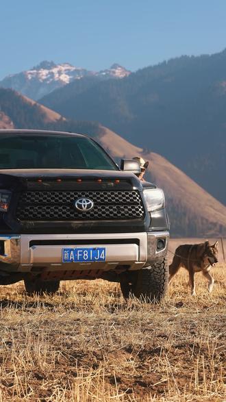 伊犁冬季赠送项目(狼族写真仅限乌鲁木齐落地可送):
1.狼族少女妆造写真
2.赛里木湖utv
3.权游造型(自己化妆)库尔德宁
4.库尔德宁山顶森林骑马1小时
5.沙漠冲沙(越野车)滑沙
6.那拉提滑雪场初级道。
阿勒泰赠送项目:
1.吉克普林滑雪场初级道
2.禾木骑马(哈登平台1小时)
3.围炉煮茶
4.赛里木湖utv(封路去不了可退)(或平替)
5.权游造型(自己化妆)
不要相信那些所谓4k多的能给你们真的送这么多,尤其妆造,禾木合作妆造➕拍摄最少也要1.5k左右算算钱都知道!给你们的酒店你们都不一定搜的到!不要图了便宜最后来避雷新疆!新疆在做口碑的旅行社只有府宝团游和漠野疆途#新疆旅游 #旅行推荐官