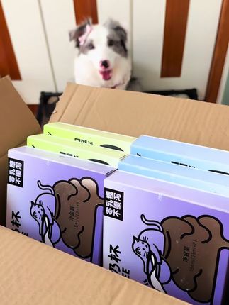 被姨姨种草了一个狗狗猫猫都爱喝的牛奶杯,大手一挥,来一箱,给我们嘴馋的小七月尝尝#边牧 #陨石边牧 #狗狗牛奶 #馋嘴宝宝