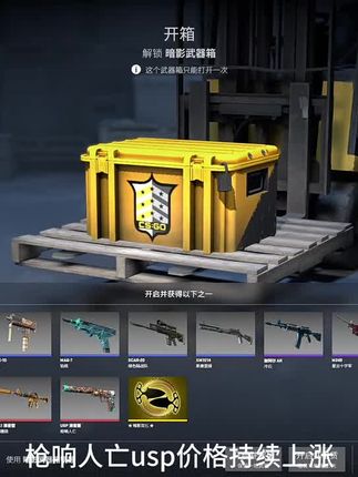 六十箱暗影武器箱追梦枪响人亡usp到底能成功吗?敬请期待#csgo开箱 #cs2开箱 #csgo饰品 #csgo女玩家 #csgo皮肤