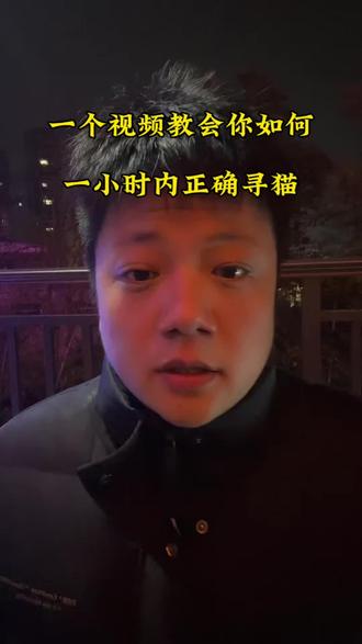 一个视频教会你,猫咪走失后能一小时找回的方式#找猫#找狗#寻宠团队 #知识分享