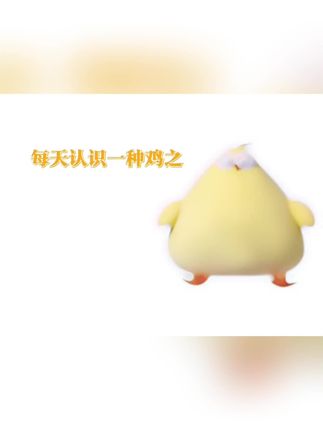 【专属】墩Dun鸡系列_11寸蔬菜鸡公仔(菜花鸡)_MR