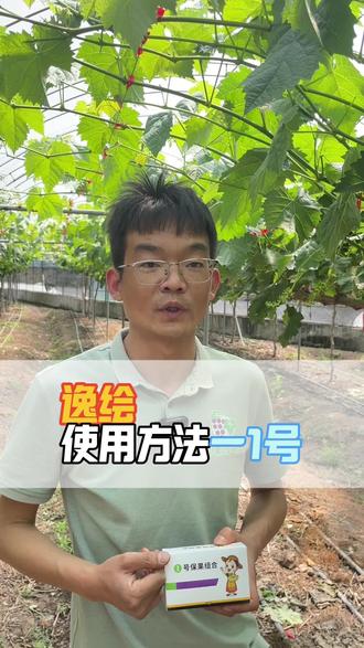 逸绘1号保果使用方法#葡萄种植 #小葡园农业