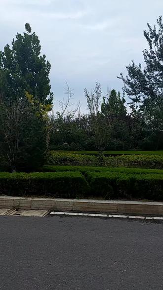 凤凰山:1.没有门票🎫,也不用上网📱预约。2.停车在凤凰山宾馆停。3.山🗻顶上有咖啡☕️店。不买咖啡☕️也能进。#大自然 #自然风景 #风景随拍 #爬山