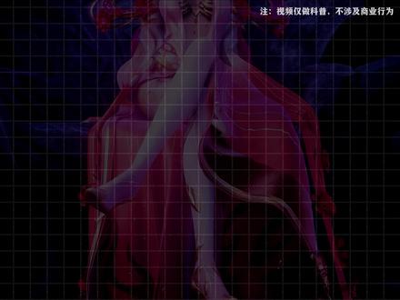 顶级后宫漫剧天花板 #动漫 #国漫 #漫剧 #漫剧推荐 #国漫推荐