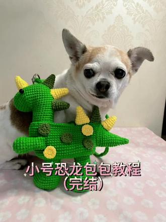 小号恐龙包包教程(完结)#钩织教程 #钩织毛线玩偶 #钩织小物件
