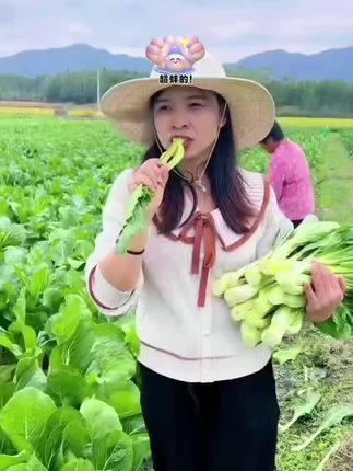 #自己种的纯天然绿色蔬菜 #阳台小院均可种植 #三农 #蔬菜种植 #白菜苔种子 种植简单,多茬采收,清炒凉拌涮火锅都好吃,清脆爽口