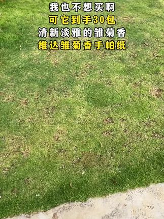 #维达 雏菊香 #手帕纸 30包加厚面巾纸小包亲肤便携纸巾随身装卫生纸#纸巾 #超便宜超划算 #强烈推荐