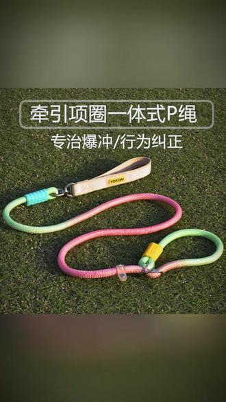防爆冲P绳狗狗牵引绳防挣脱P链大中小型犬通用拴狗绳套脖遛狗链子 #防爆冲牵引绳 #狗狗P链 #中大小型犬遛狗绳 #防挣脱拴狗绳 #套脖遛狗链子