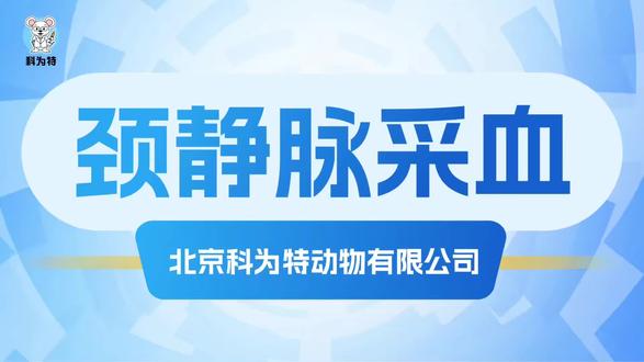 科为特大鼠颈静脉采血💫✨ 在实验当中,大鼠的采血方法包括断头取血、腹主动脉取血、剪尾取血、眼眶后取血、心脏穿刺取血及颈静脉取血等。今天为大家介绍颈静脉采血,颈静脉采血是一种常见的血液采集方法,主要用于在实验当中的血液学检测,该方法由于创面小,可以减少对大鼠的伤害。
操作步骤💫✨
1⃣️ 在实验开始前,将大鼠采取适当的镇静处理(摇晕或麻醉),可以避免在采血的过程中被大鼠抓咬。
2⃣️ 实验员左手固定住大鼠,抓住大鼠头部和颈部的皮肤,翻转使其腹部朝上无法自主活动,暴露出颈部。
3⃣️ 酒精擦拭消毒,避免伤口感染。使用右手按压找到跳动位置,随后持针,大约30度向上进针,刺穿皮肤后回拉注射器,使注射器产生负压。此时注射器内有血液出现时,说明已经刺入采血位置。取0.5ML左右时拔出注射器,完成采血后使用干棉球按压止血,防止出血引起感染。
4⃣️ 采集完成的血液,及时根据后续实验进行处理。
注意事项✨💫
1⃣️ 颈静脉采血要求操作者必须技术熟练,尤其是未对大鼠麻醉的前提下。新手操作需在指导下,避免对大鼠造成伤害。
2⃣️ 在采血过程中,要时刻注意大鼠的状态和自身的安全。
3⃣️ 适量采血,避免过当采血对大鼠造成伤害,如果采血量和采血次数增加,会使大鼠引起一定的应激性反应或对采血部位造成伤害。#科研 #医学生 #动物实验外包 #实验室