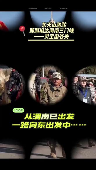 大漠孤烟直,长河落日圆,美丽天鹅城茅辣辣重庆火锅欢迎您!#旅行#骆驼队 #茅辣辣重庆火锅#旅游旅游旅游