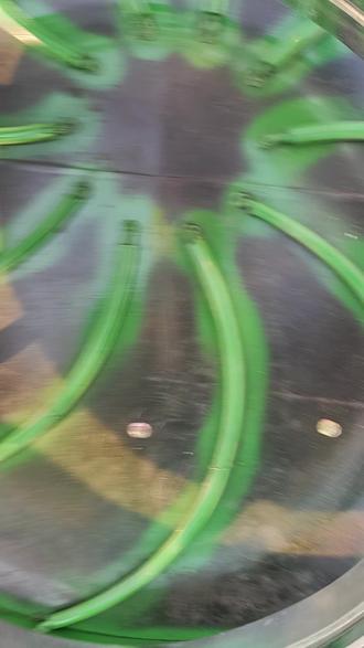 微菜揉菜机成功交付一台。