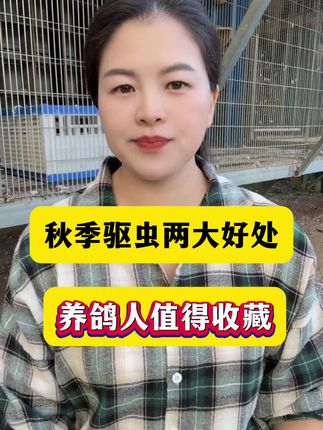 秋季驱虫两大好处,养鸽人值得收藏#养鸽人 #信鸽赛鸽 #鸽子养殖技术 #肉鸽养殖#种鸽