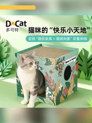 一人一座小房子🏠 #萌宠动物 #家有爱宠 #可爱喵 #猫主子的日常 #小猫咪被夸可爱