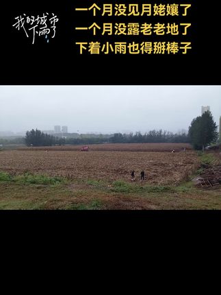 #农民不易 #乡村田野 #美丽的田野