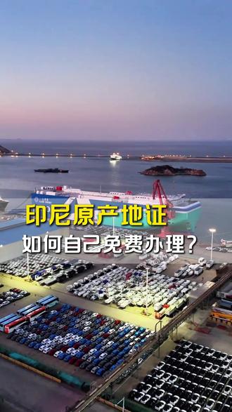 出口印尼的 FORM E 产地证,其实自己就能免费办理。 自己办,不仅正规安全,还能保证报关单、提单、证书抬头一致,
清关不被查、不被退证,回款更有保障。
#印尼产地证 #出口印尼 #外贸干货 #印尼清关 #维拓印尼物流