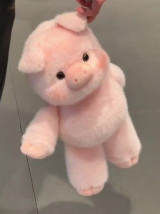 谁能拒绝这跑跑小香猪🐷呀#玩偶 #毛绒公仔 #礼物 #是时候安排一下了