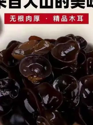 #郝邵文 推荐#木耳 #黑木耳 #东北木耳 #干货木耳 【精品】东北特产干货秋木耳精品木耳干净肉厚无根免摘500克/袋
