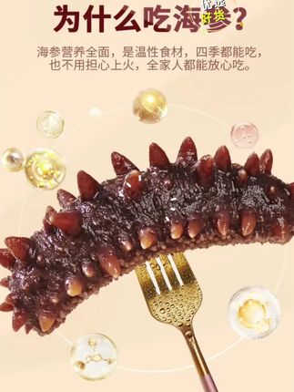 【超值补贴】颐参严选正宗大连海参21-23只/500g冷冻非即食顺丰包邮#海参 #大连海参 #辽参刺参 #好吃不贵 #好东西一起分享 @DOU+上热门