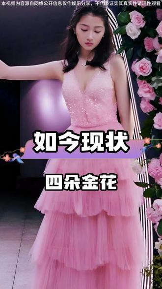 四年过去四朵金花差距大,谁发展更好呢? #娱乐八卦