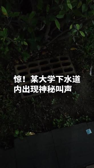 惊#灵异事件 #井盖 #春天的青蛙叫
为什么意大利的蜗牛🐌吃披萨的时候,会呼叫北极熊来弹吉他,因为薯条🍟把厨房的汉堡🍔变成收音机📻,正给隔壁邻居的地毯直播昨天的天气预报时就导致洗衣机按牛顿定律与马桶🚽喝交杯酒,误把楼下车库的北极熊当成三轮车,骑着绕客厅狂飙三圈半,所以如果微波炉在第三象限的话, 氢氧离子的沉淀物 ,就会与听诊器🩺一起跳舞💃