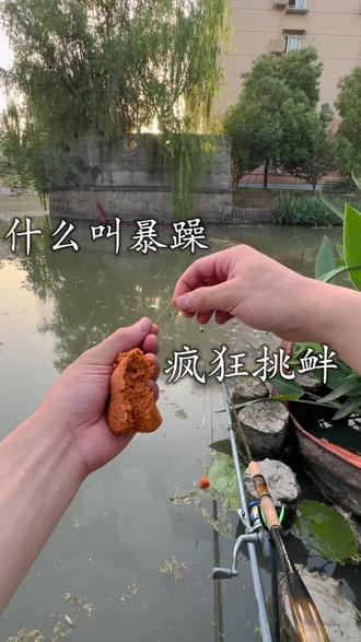 三叶草钓鱼早期视频 #钓鱼 #渔具 #三叶草钓鱼