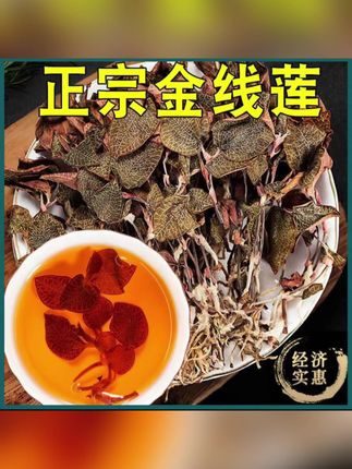 福建南靖金线莲整株新鲜香味自然品质产品干品煮水煲汤 枸杞#金线莲 #养生茶#养生#大自然的馈赠