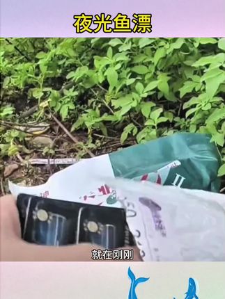 #鱼漂 #夜光鱼漂 #夜钓 #【石墨烯款】夜光漂电池CR425 322 316311正品夜钓鱼浮漂电子漂电池#电子鱼漂