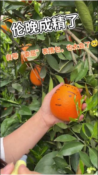 当我画了一个丑丑的橙子还遇上00后的剪辑师#00后剪辑 #伦晚 #雷霆剪辑 #橙子