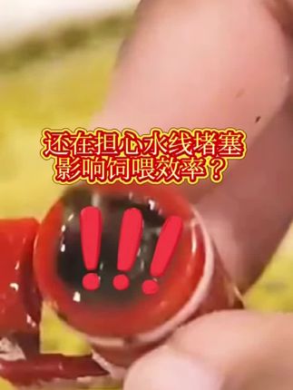 #水线 #养鸡水线 #养鸡小妙招 #养鸡技术