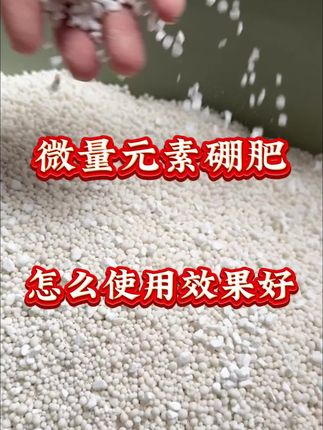微量元素硼肥,怎么使用效果好 #农业种植#颗粒硼#小麦底肥#底肥#小麦种植
