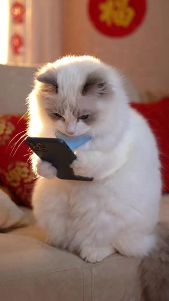 原来我的花园世界真的能兑换真花 #taptap发现好游戏#我的花园世界