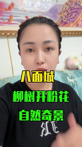 昌图八面城柳树开花了?#昌图#同城#干货知识分享 #昌图旗袍妹