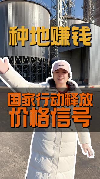 未来三年玉米都会大涨 #高产玉米种子 #粮价走势 #粮价行情