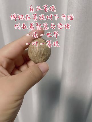 菩提本无树,明镜亦非台#治愈 #菩提手串