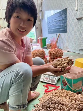 #花生 #优质农产品 #三农 春花生哟,饱满圆韵口感真不错