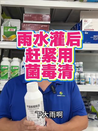 雨水灌了以后,一定要用菌毒清来消杀一遍! #辛菌胺醋酸盐 #雨后灌了怎么消毒 #德平农资