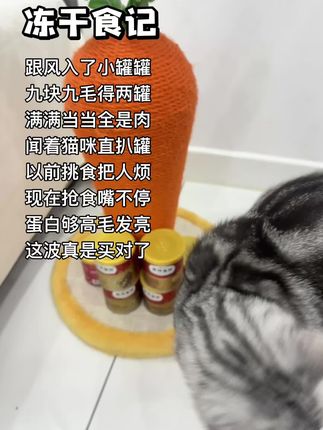 个位数抱走两罐#弗列加特 主食冻干试吃装,快来薅啊#主食冻干 #哈基米 #薅羊毛的快乐