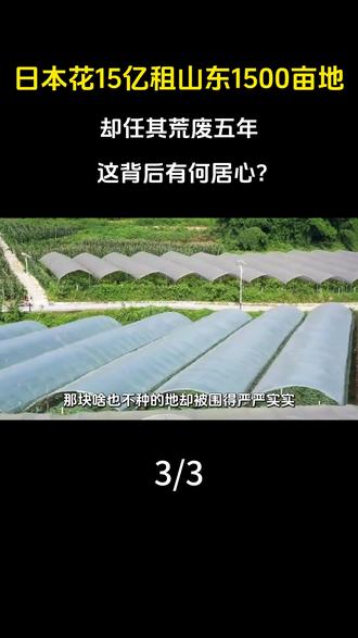 日本花15亿租山东1500亩地,却任其荒废五年,这背后有何居心? #科普 #涨知识 #大国重器 #种植