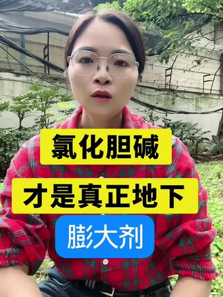 氯化胆碱才是真正地下作物膨大剂#氯化胆碱