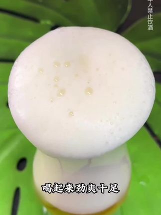 酒真是个好东西,开心了能多喝几杯,不开心了也能,多喝几杯,既能上头又能放松,情绪还能干变万化#平价好物 #活动价格 #秒杀活动 #啤酒整箱 #啤酒烧烤