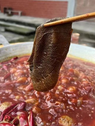 地道老火锅麻辣红汤锅底 火锅店同款同味 商用家用都食用开袋即食#四川火锅 #牛油火锅底料 #在家吃火锅