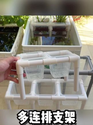 多连排种植篮支架定植篮支架生态缸植物种植定植篮多连排支架#生态龟缸 #种植篮支架 #定植篮支架 #龟缸造景 #连排款种植篮支架