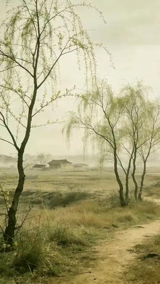 《清明》这首诗写于王禹偁被贬期间,通过清贫过节的场景,展现了诗人虽身处逆境却安贫乐道、潜心读书的精神境界。以"野僧"自比,以"读书灯"作结,于平淡中见风骨,是宋代清明诗中的别致之作。
#清明节 #古诗词 #古诗词之美 #国学文化 #古诗词朗诵