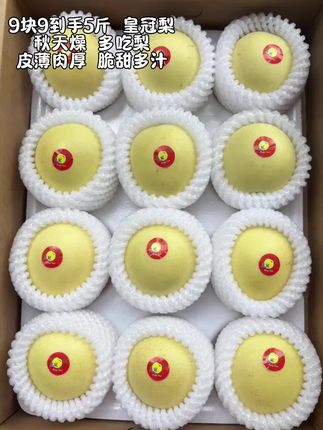 一口沦陷的清甜!把秋日新鲜吃进嘴里。河北皇冠梨来啦!它皮薄肉厚,咬一口,脆甜多汁,果肉细腻无渣,清甜的梨汁在嘴里迸发,不管是直接当水果吃,还是炖梨汤、泡梨水,都能把这份新鲜滋味拉满,大人孩子都爱吃!#皇冠梨 #新鲜应季水果 #脆甜多汁 #大人小孩都爰吃 #超便宜超划算