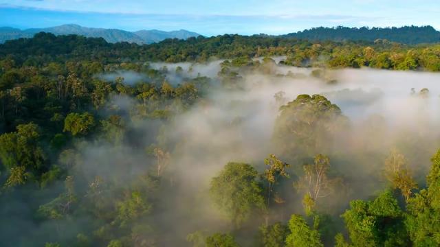 央妈力荐,暴涨知识,适合3-15岁孩子的儿童科普纪录片。 《小小世界》第1集-非洲大草原#神奇大自然纪录片 #儿童纪录片 #益智动画 #启蒙早教#儿童科普