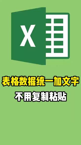 表格数据统一加文字不用复制粘贴 #excel #excel技巧 #excel教学 #excel办工小技巧 #excel函数