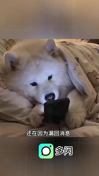朋友我再也不怕你不回消息了 #多闪app #小火人#AI聊天#多闪