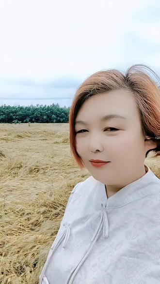 好种子,猛倒1号#麦子熟了 #结果出乎意料 #小麦田,几天不见