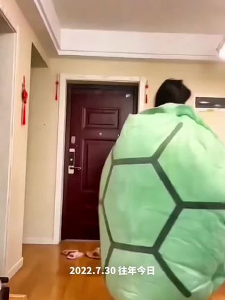 #家居好物 #解压 #舒适 乌龟壳抱枕,可穿可躺